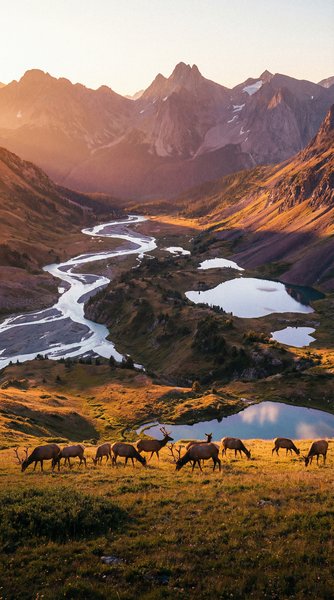 《深海迷踪》高清视频海报